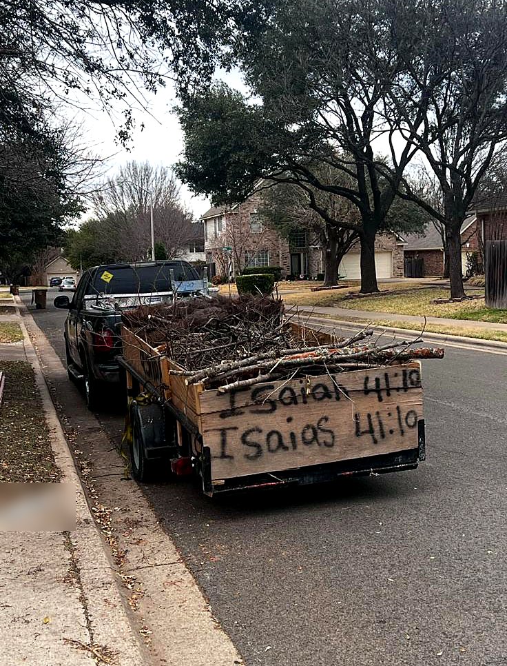 Trailer loaded with branches hauled away from a job