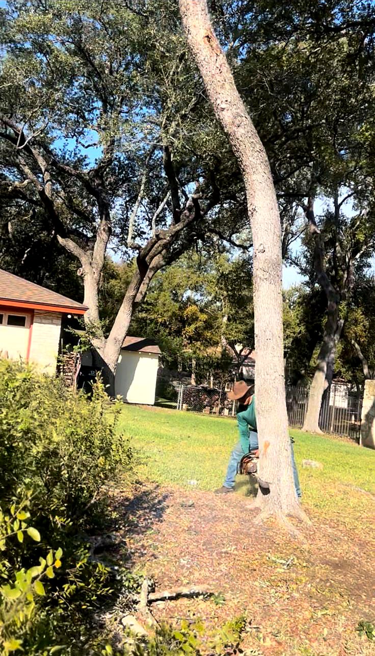 Crew member cutting a tree at its base in a backyard