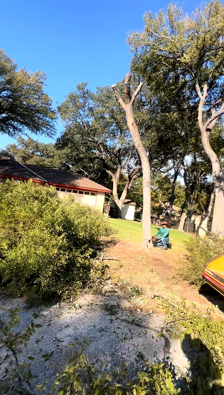 Crew member at the base of a tree being removed in a backyard